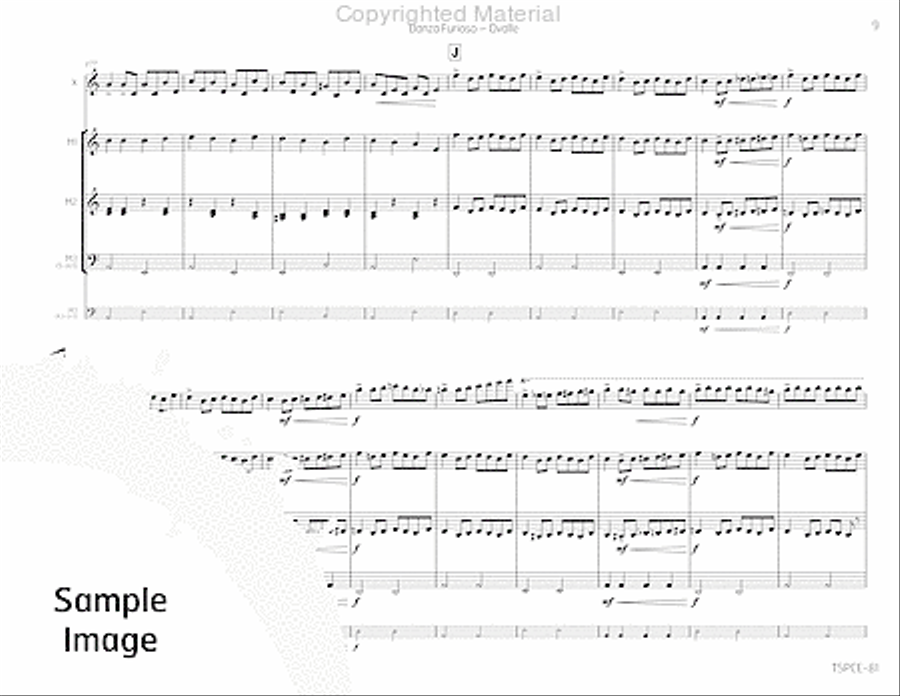 Danza Furioso Percussion Ensemble scores gallery preview page 12