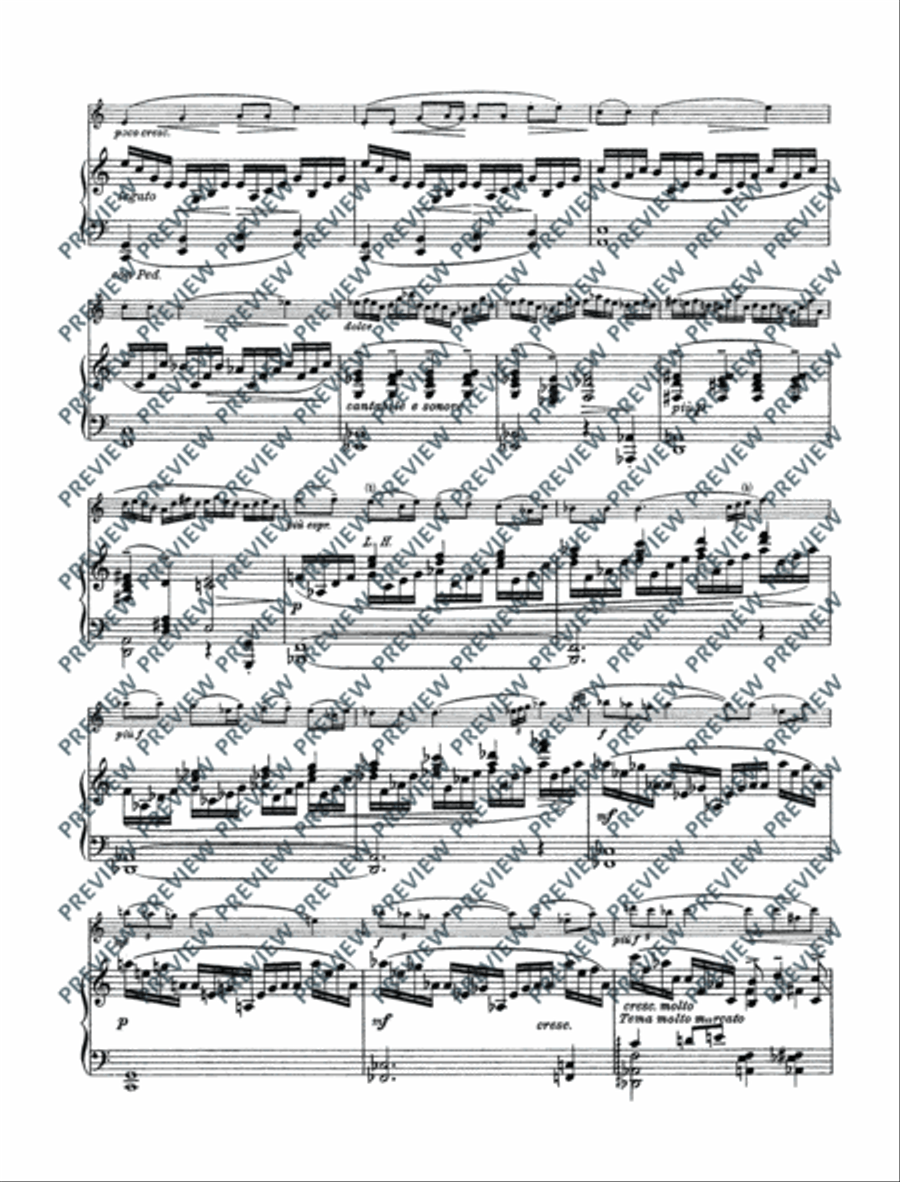 Variations on a theme by Edvard Grieg Violin Solo scores gallery preview page 19