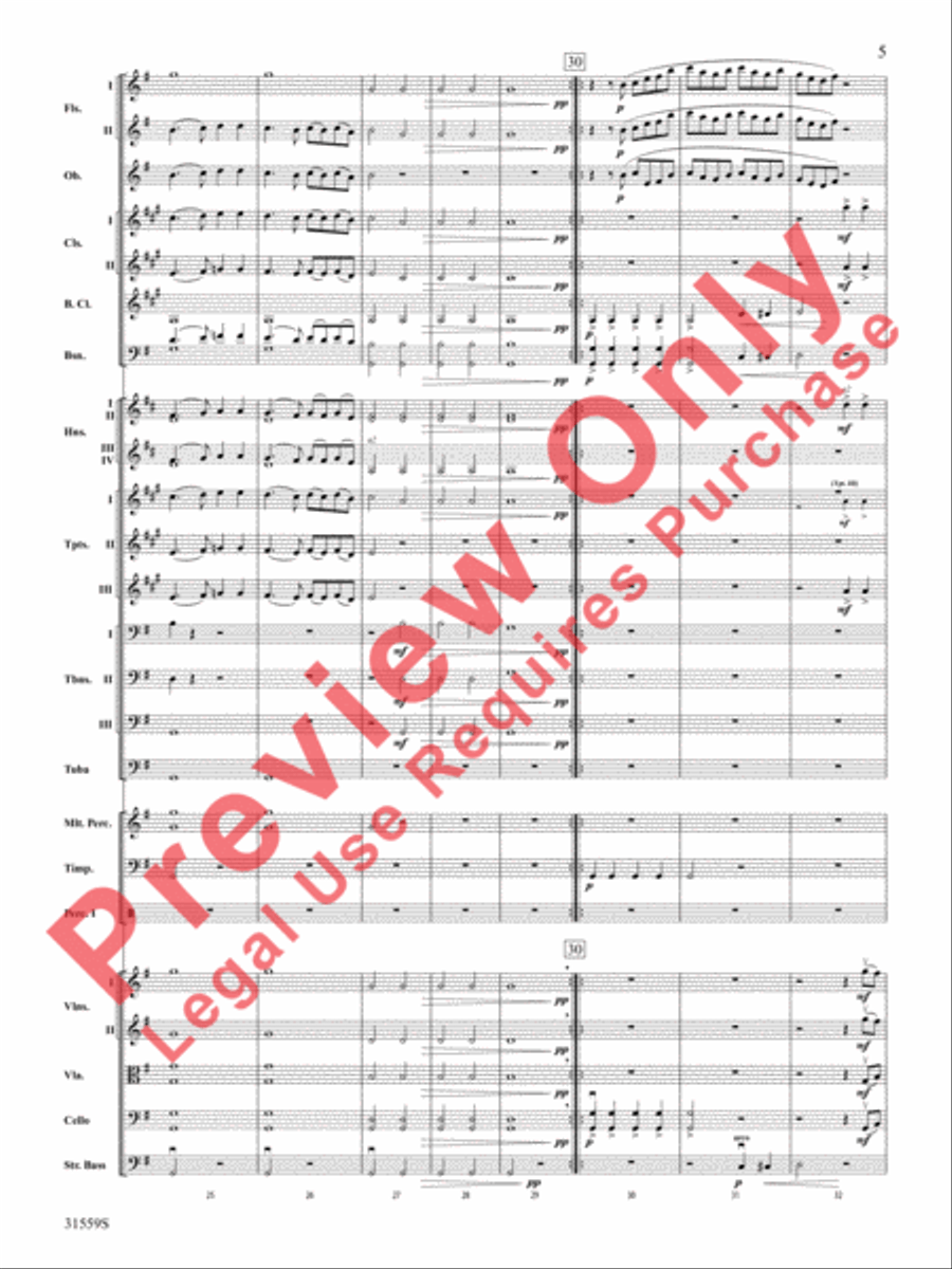 Variations on a Theme by Haydn (score only) Full Orchestra scores gallery preview page 6