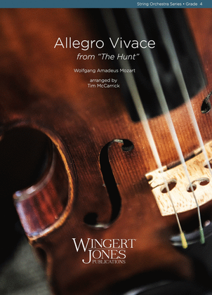 Book cover for Allegro Vivace