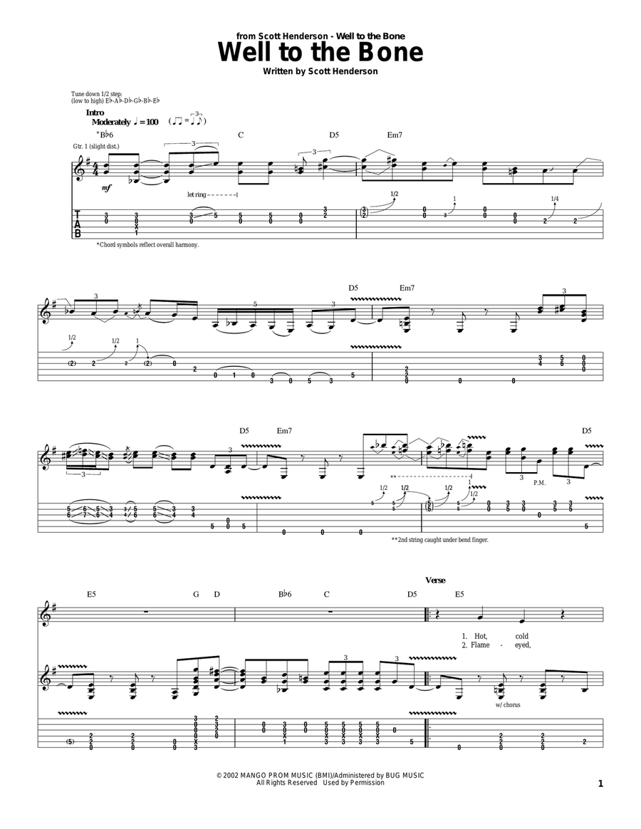 Well To The Bone Acoustic Guitar scores gallery preview page 1