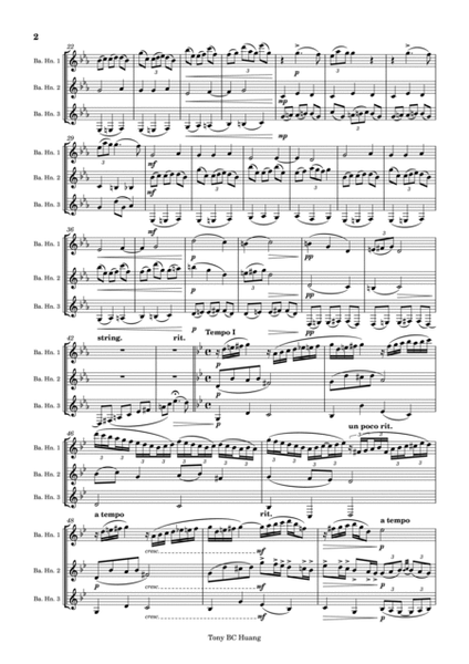 Nocturne Op.19 No.4, for Basset Horn Trio image number null
