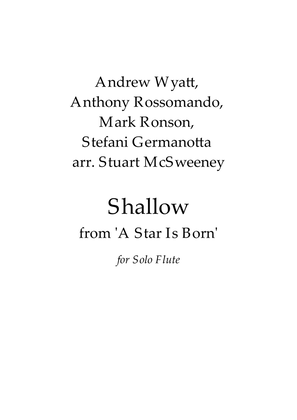 Book cover for Shallow