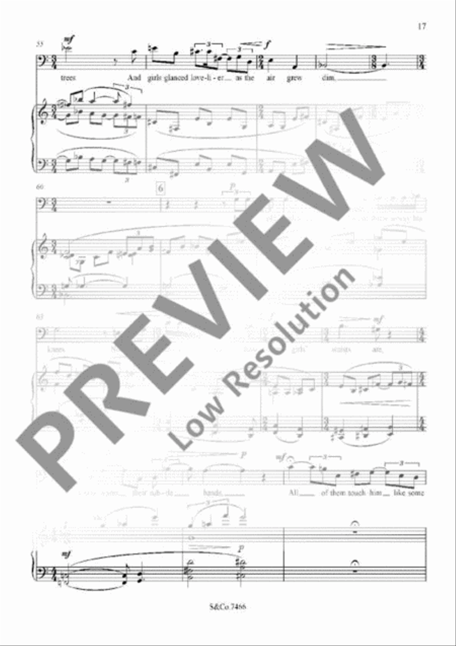 The Torn Fields Bassoon scores gallery preview page 21