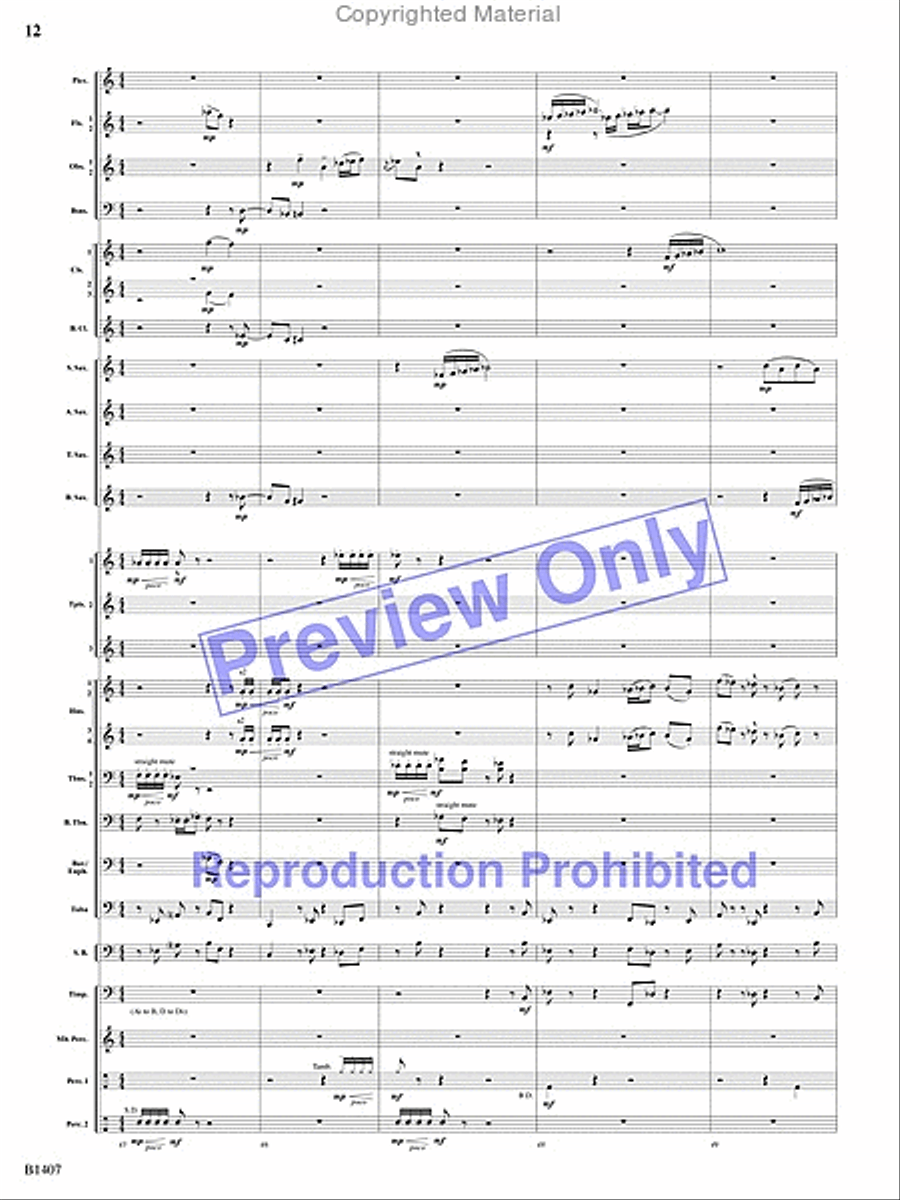 Antiphonal Fanfare Antiphonal Fanfare Concert Band scores gallery preview page 11