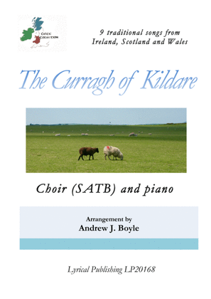 Book cover for The Curragh of Kildare