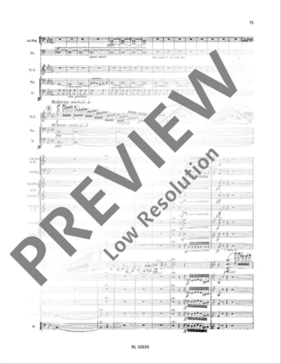 Concerto D minor Concerto D minor Orchestra scores gallery preview page 16