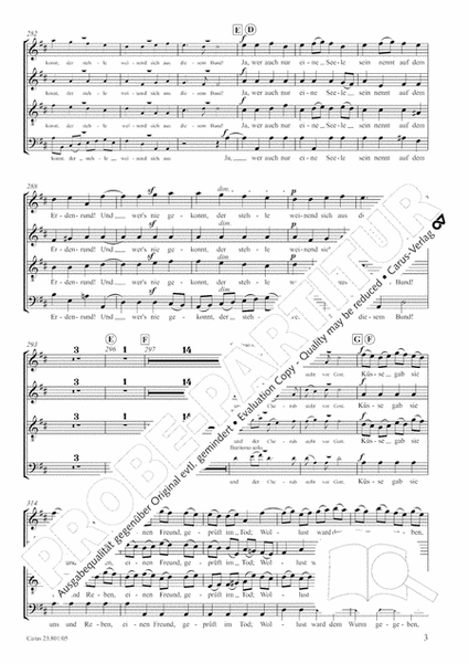 Symphony No. 9, Op. 125 - Finale (Choral Symphony)