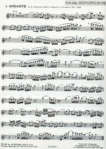 20 Etudes De Style D'apres Bach (alto) (recorder Solo)