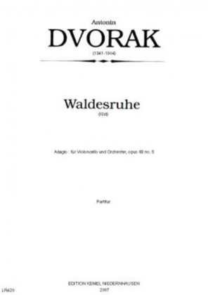 Book cover for Waldesruhe = Klid