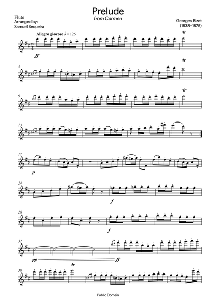 Prelude (from Carmen) - for Flute - with play along image number null