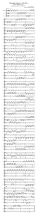 Moonlight Sonata mvt1 - cello trio