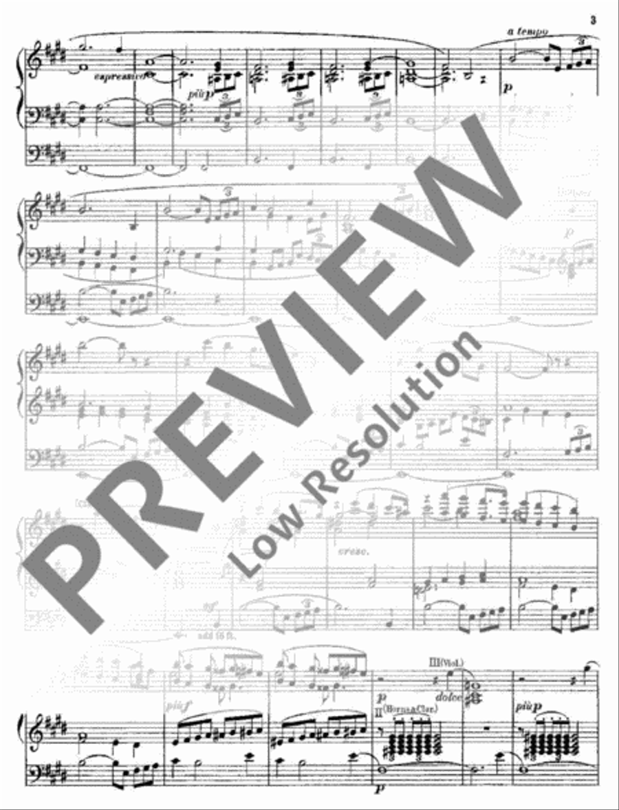 Siegfried-Idyll Organ scores gallery preview page 4