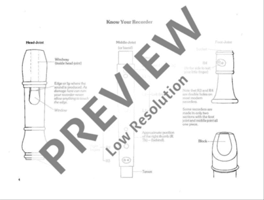 Enjoy the Recorder Soprano Recorder scores gallery preview page 5