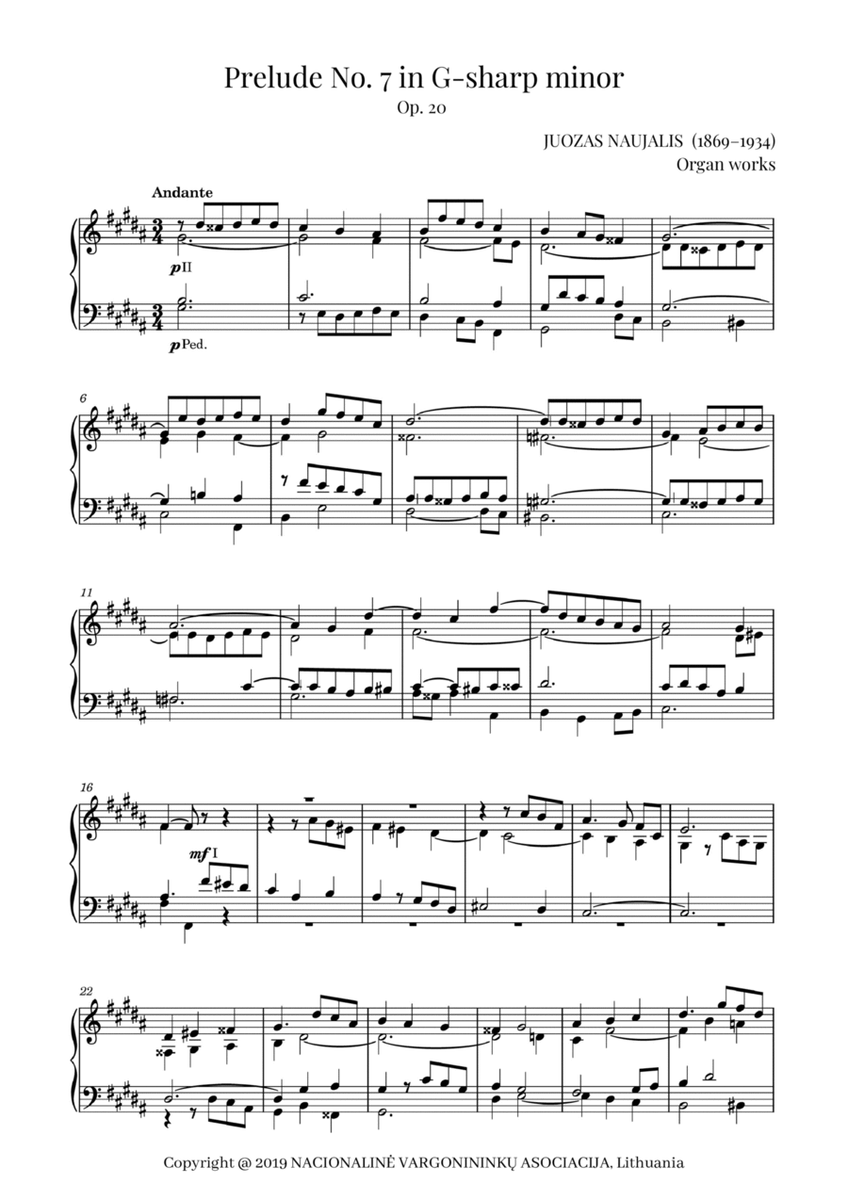Prelude No. 7 in G-sharp minor, Op. 20 by Juozas Naujalis (1869–1934) image number null