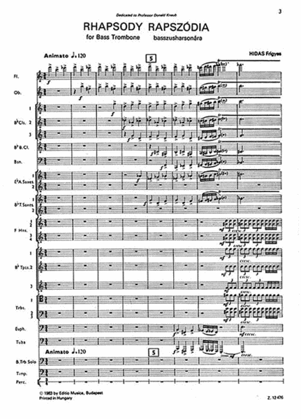 Rhapsody for Bass Trombone and Wind Band image number null