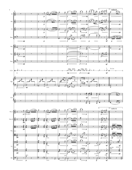 Solace, for Chamber Orchestra (Full Score) - Score Only