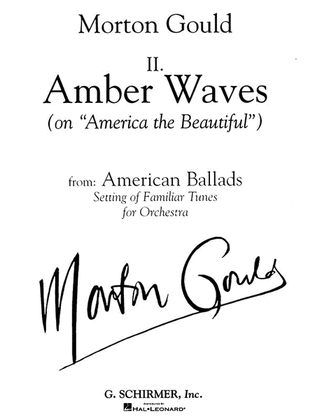 Book cover for II. Amber Waves