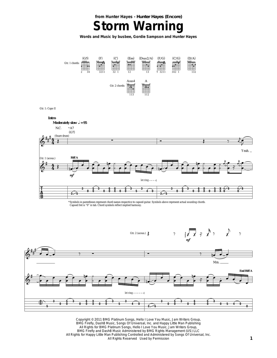 Storm Warning Storm Warning Acoustic Guitar scores gallery preview page 1