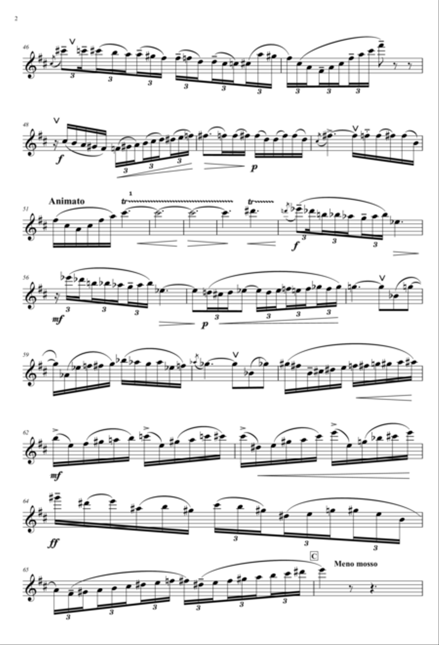 Concerto for Flute Full Orchestra scores gallery preview page 3