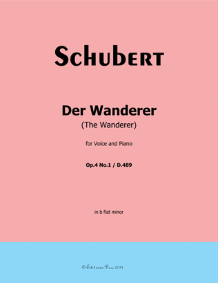 Book cover for Der Wanderer, by Schubert, Op.4 No.1, in b flat minor
