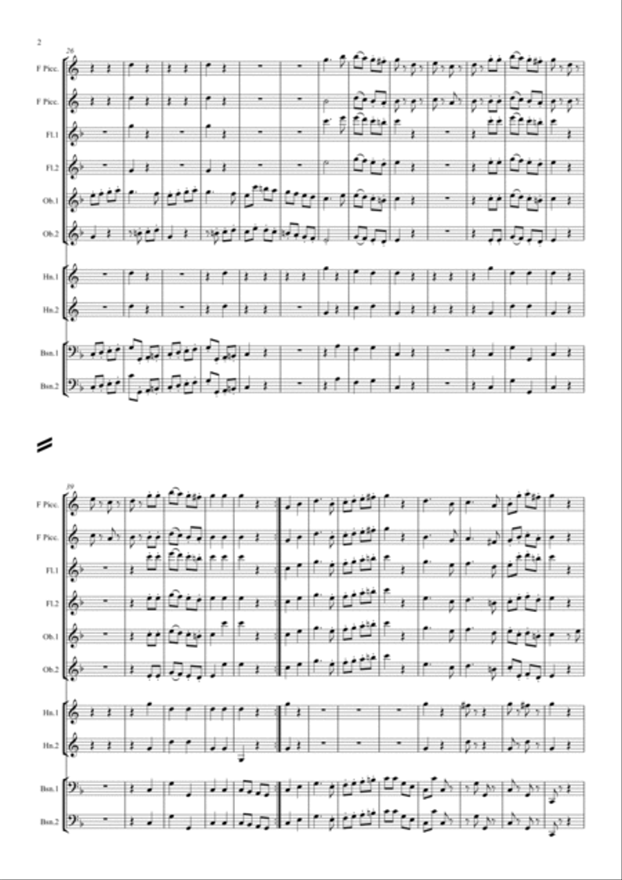 Schmittbaur: Divertimenti No.2 Allegro Molto Woodwind Quintet scores gallery preview page 2
