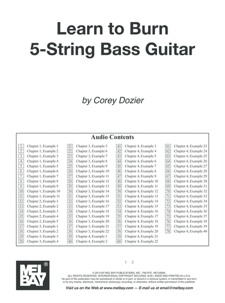 Learn to Burn: 5-String Bass Guitar image number null