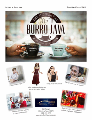 Book cover for Incident at Burro Java
