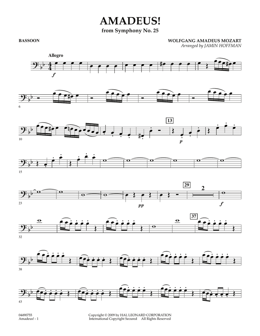 Amadeus! - Bassoon Full Orchestra scores gallery preview page 1