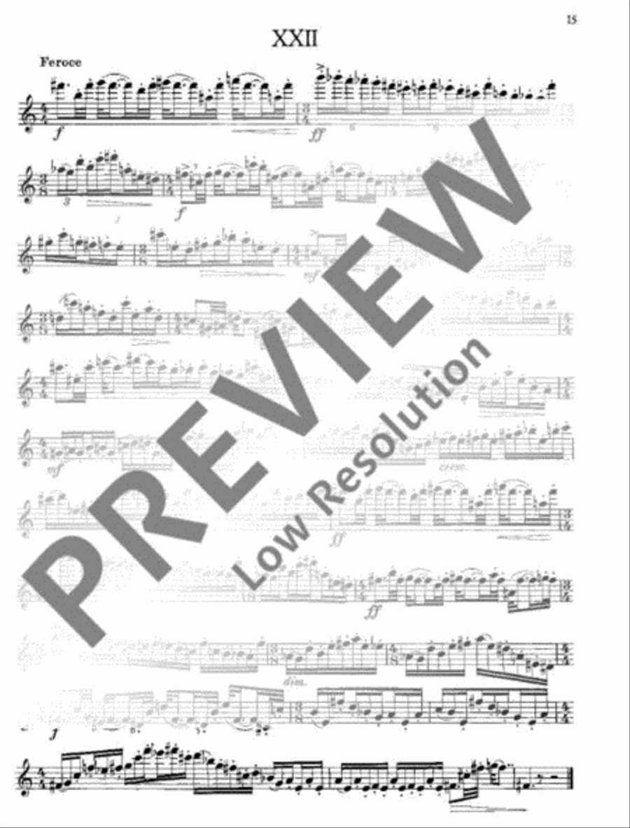 Modern Studies Flute Solo scores gallery preview page 16