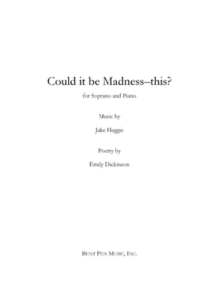 Book cover for Could it be Madness--this?