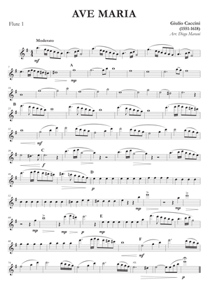 Ave Maria by Caccini-Vavilov for Flute Quartet