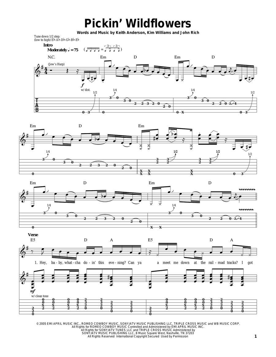 Pickin' Wildflowers Acoustic Guitar scores gallery preview page 1
