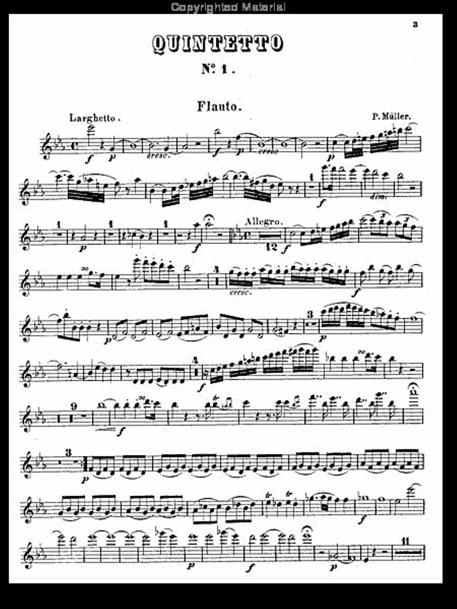 Drei Quintette Nr. 1 Woodwind Quintet scores gallery preview page 4