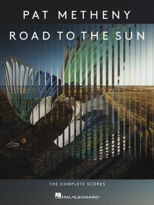 Book cover for Pat Metheny - Road to the Sun