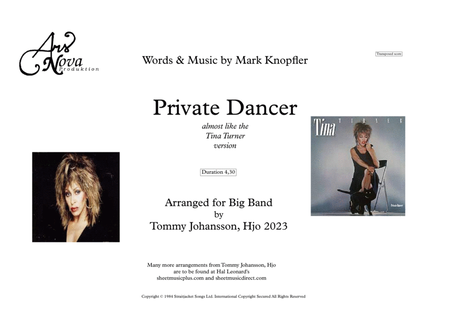Private Dancer image number null