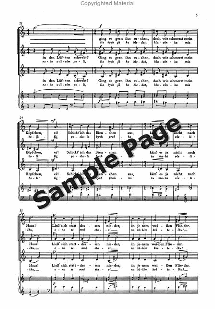 Sag mir Gott Sag mir Gott SSA scores gallery preview page 6