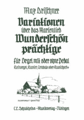 Book cover for Variationen auber das Marienlied "Wunderschon prachtige"
