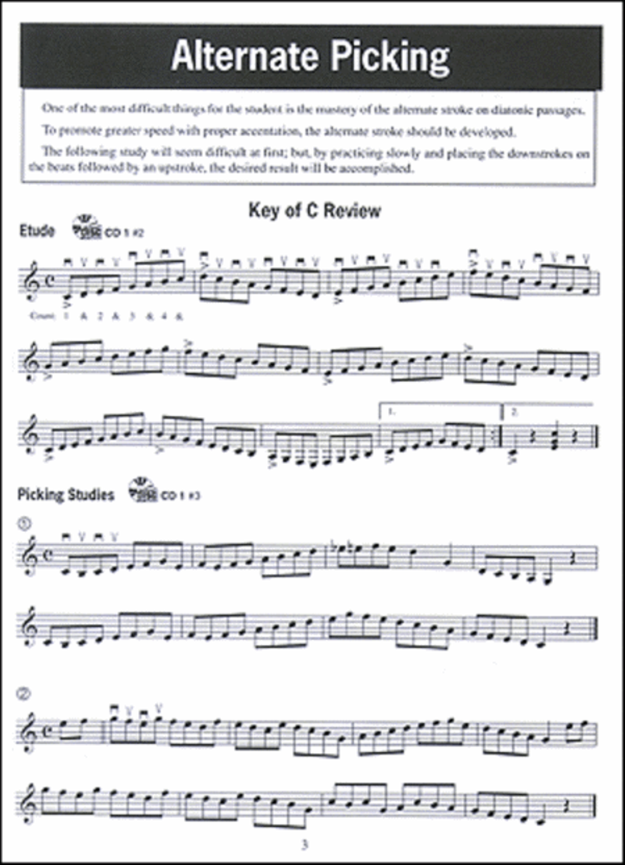 Modern Guitar Method Grade 2, Expanded Edition Flatpicking Guitar scores gallery preview page 3