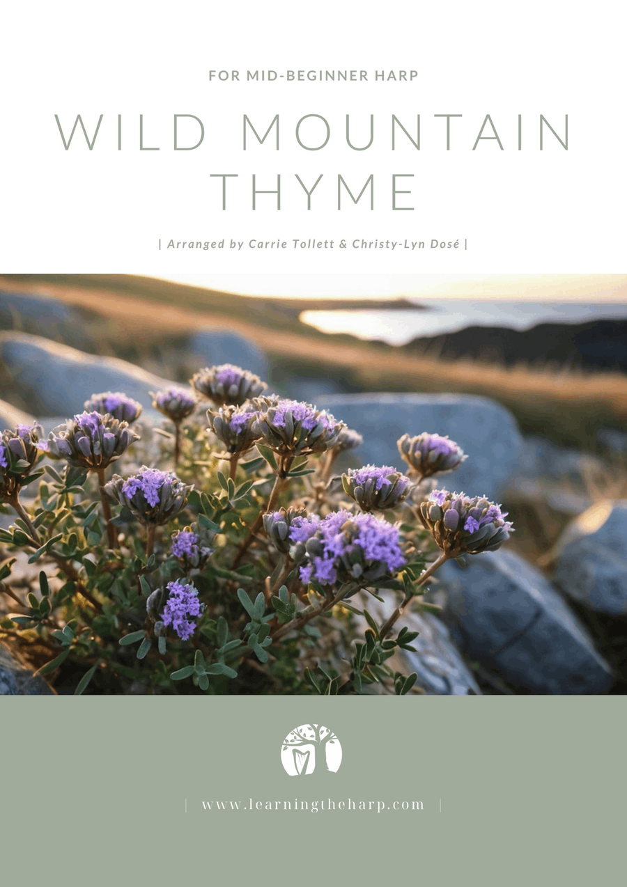 Book cover for Wild Mountain Thyme