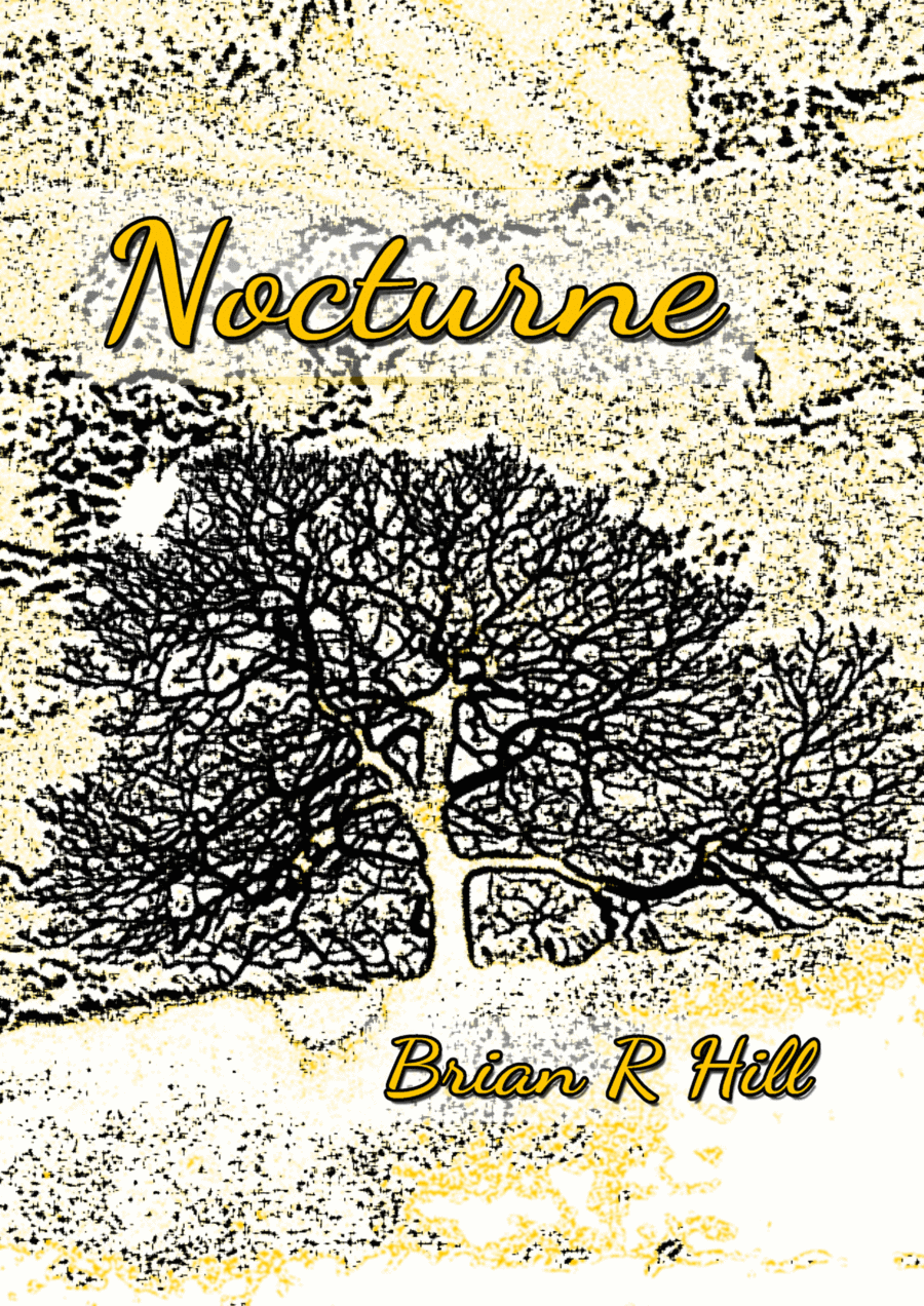 Nocturne image number null
