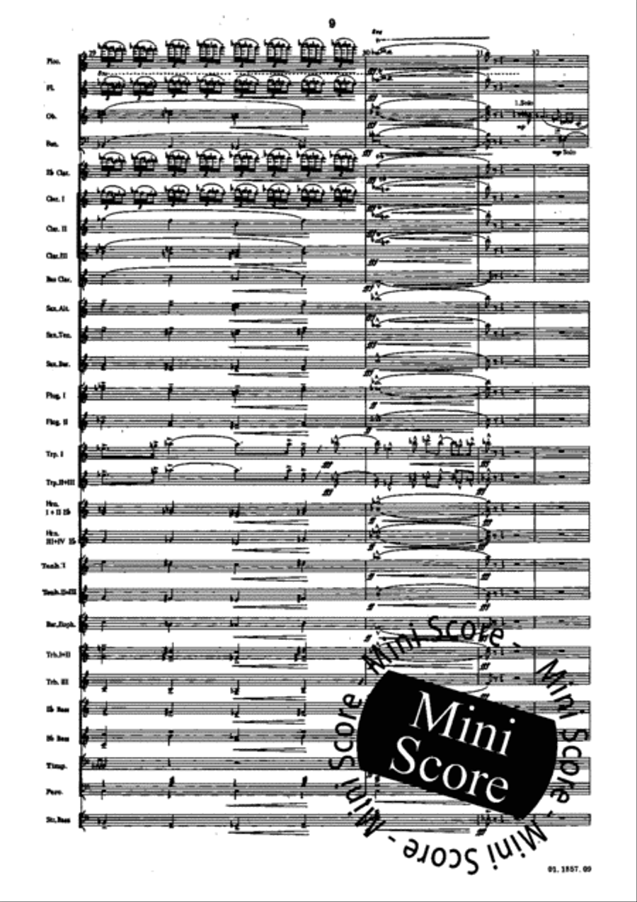 Evocazioni Evocazioni Concert Band scores gallery preview page 13