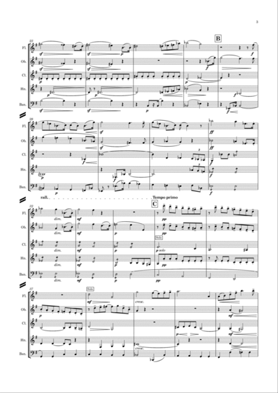 Elgar: Chanson de Nuit Op.15 No.1 - wind quintet Woodwind Quintet scores gallery preview page 3