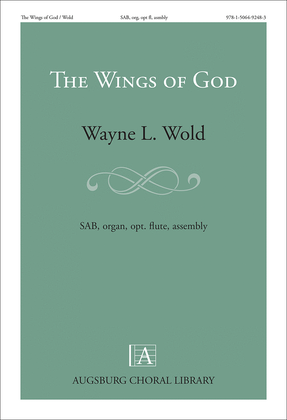 Book cover for The Wings of God
