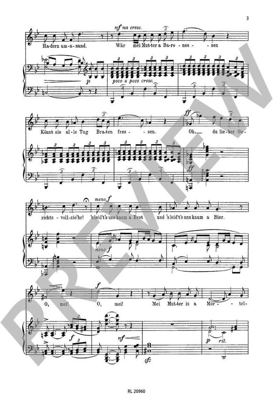 Mörtelweibs Tochter op. 6 Medium Voice scores gallery preview page 2