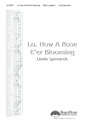 Lo, How A Rose E’er Blooming