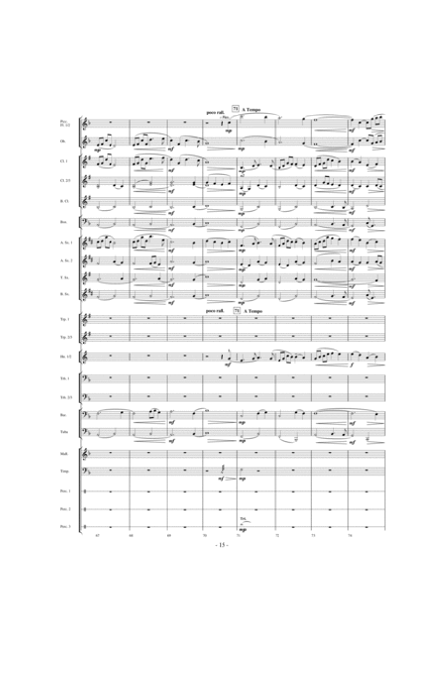 Beyond the Higher Skies Concert Band scores gallery preview page 14