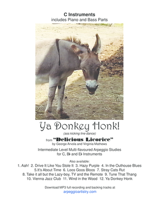 Book cover for Ya Donkey Honk, flute or violin.