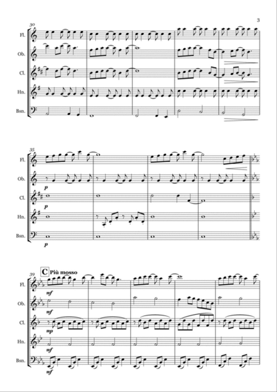 Forrest Gump - Main Title (feather Theme) Woodwind Quintet scores gallery preview page 3