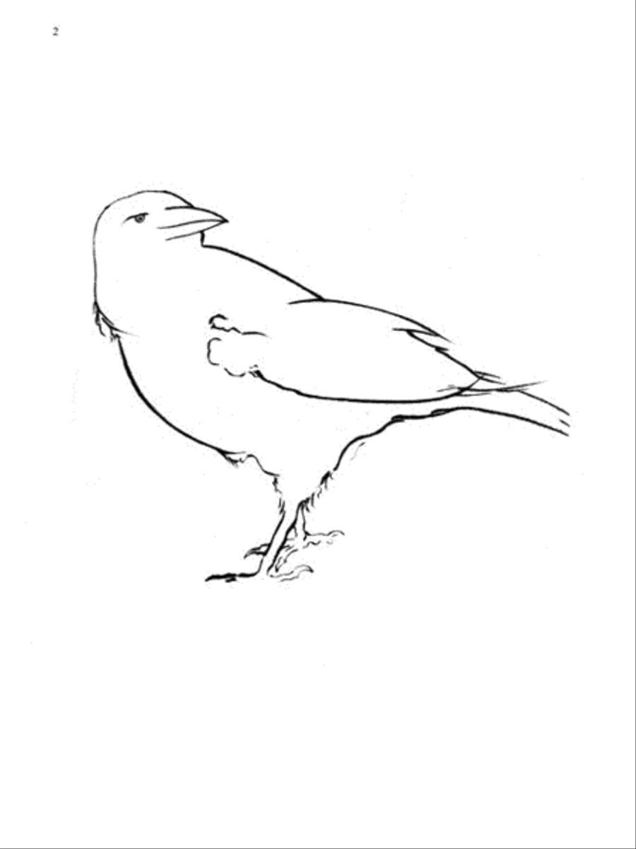 Bird Spirits Bird Spirits Piano Solo scores gallery preview page 6